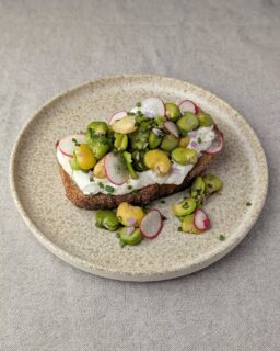 Gisteren bij de landwinkel van @vaderland.nu geweest en een heerlijk zuurdesem roggebrood en tuinbonen gekocht. Daar heb ik vandaag een heerlijke maaltijd van gemaakt.

Zuurdesem brood met ricotta, tuinbonen, citroen, radijs, olijfolie, bieslook en bieslookbloemen. Ik zal snel het recept online zetten.
.
.
.
#bewustenbourgondisch #foodphotography #foodstagram #tuinbonen #zuurdesem